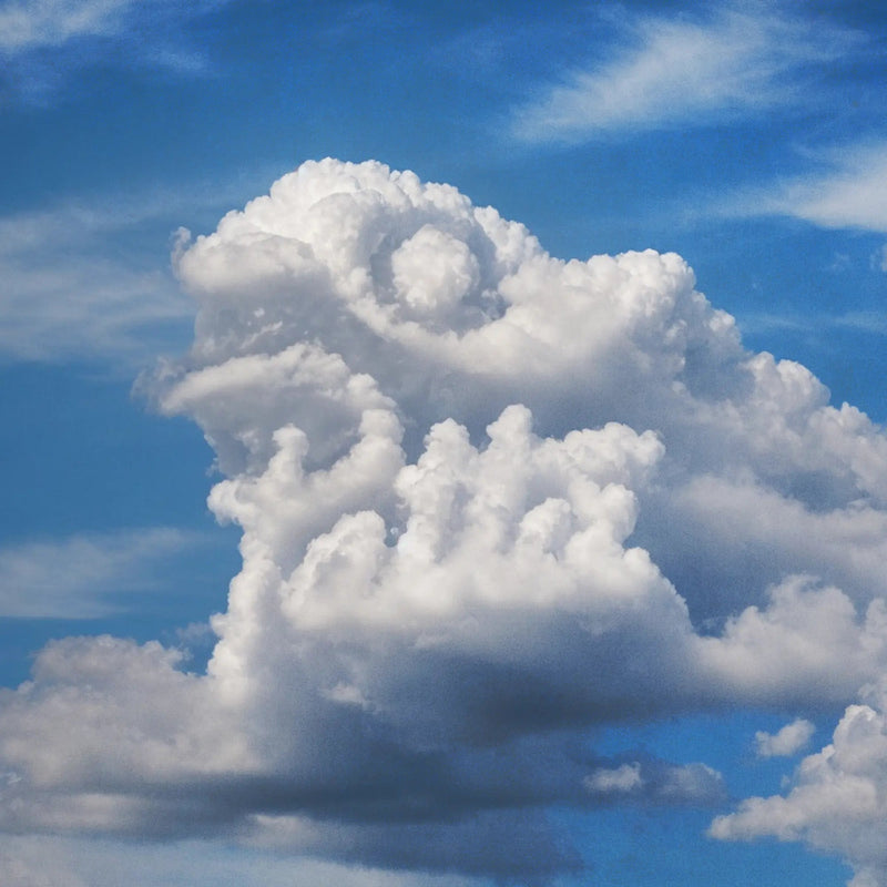 Patta Milan X Oltreoceano - Patta